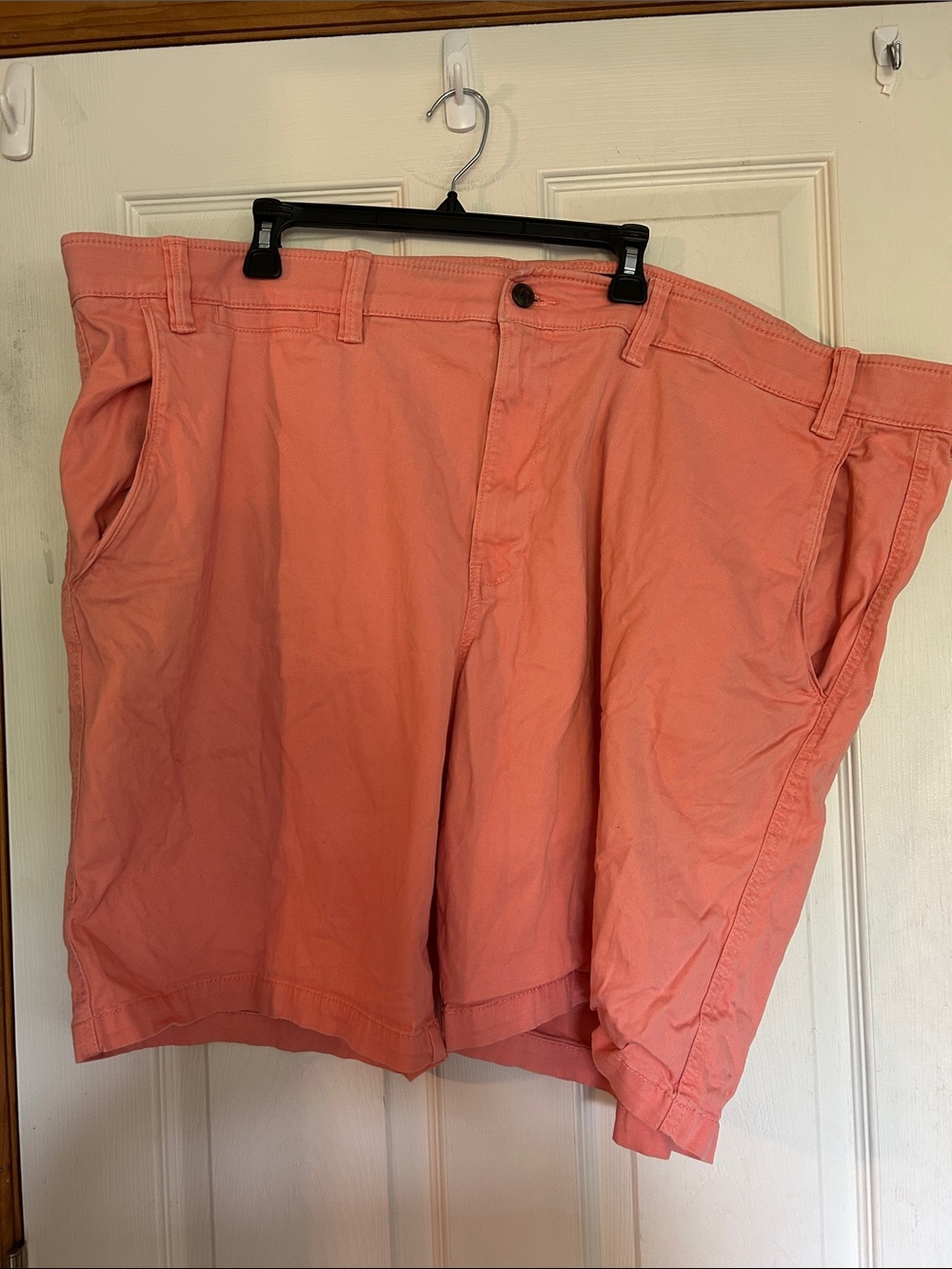 The Foundry Supply Co. Coral Flat Front Cotton Shorts